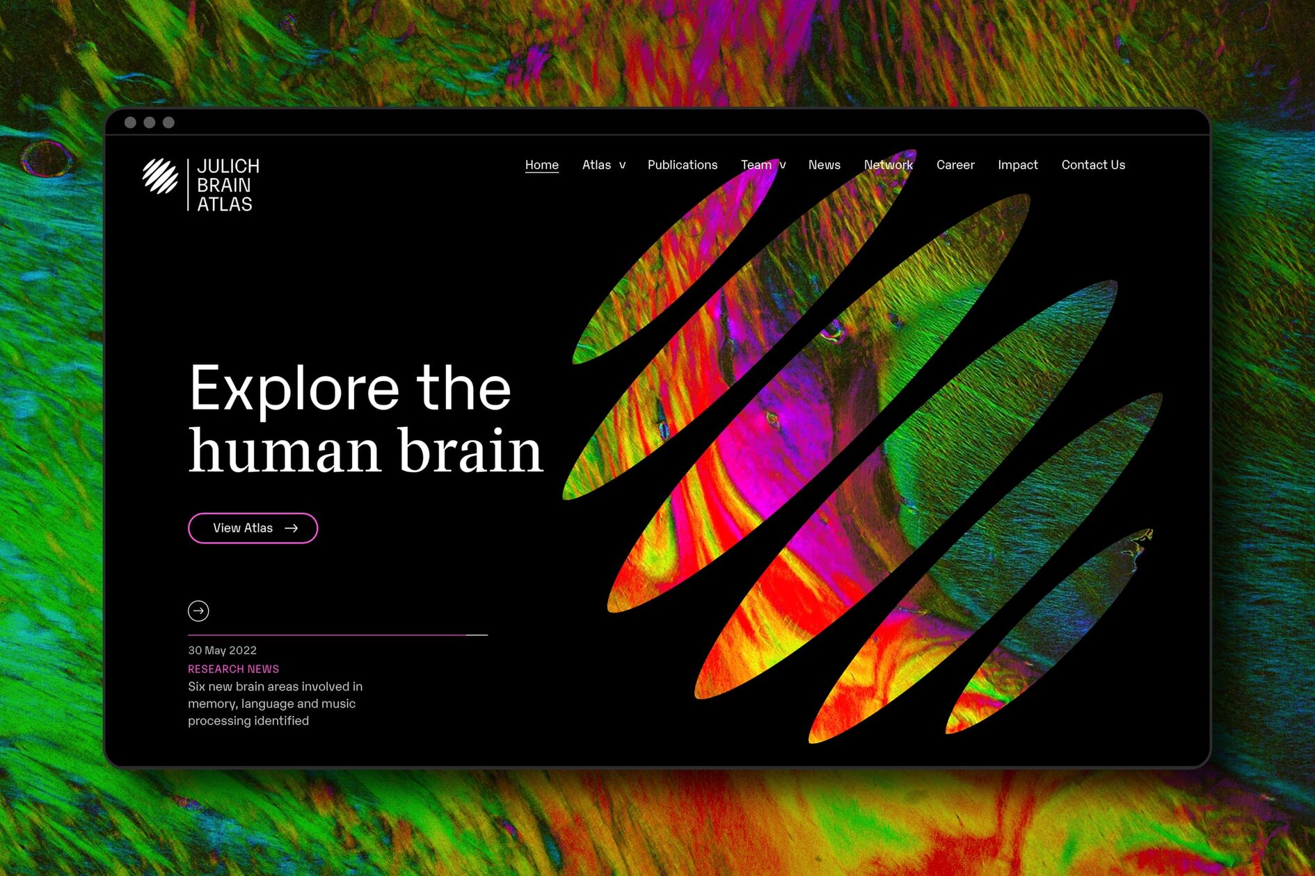 Julich Brain Project Website