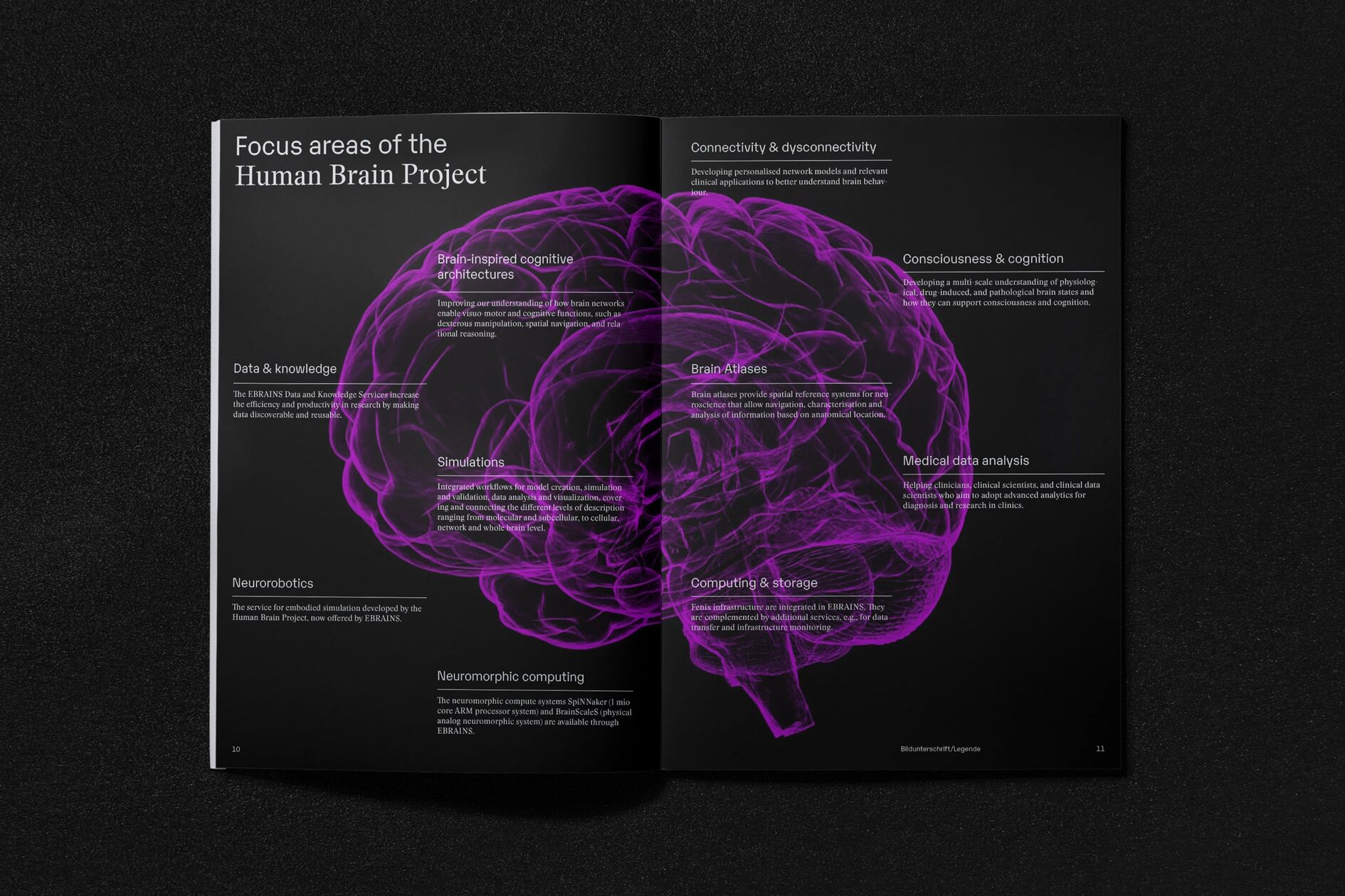 Julich Brain Atlas Editorial
